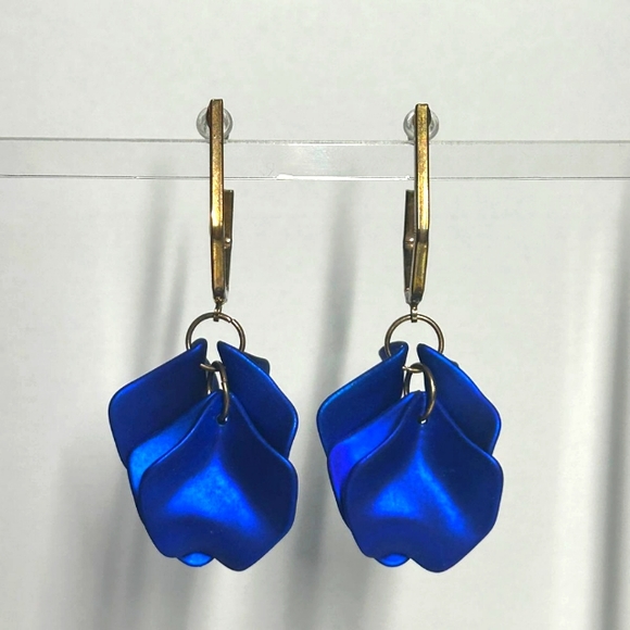 Earrings - Picture 1 of 3